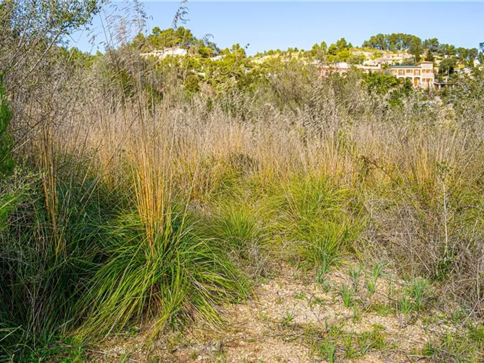 Helårsgrund i Galilea, Mallorca - foto 3